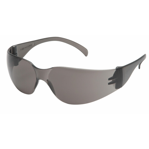 Safety Glasses Pyramex Intruder
