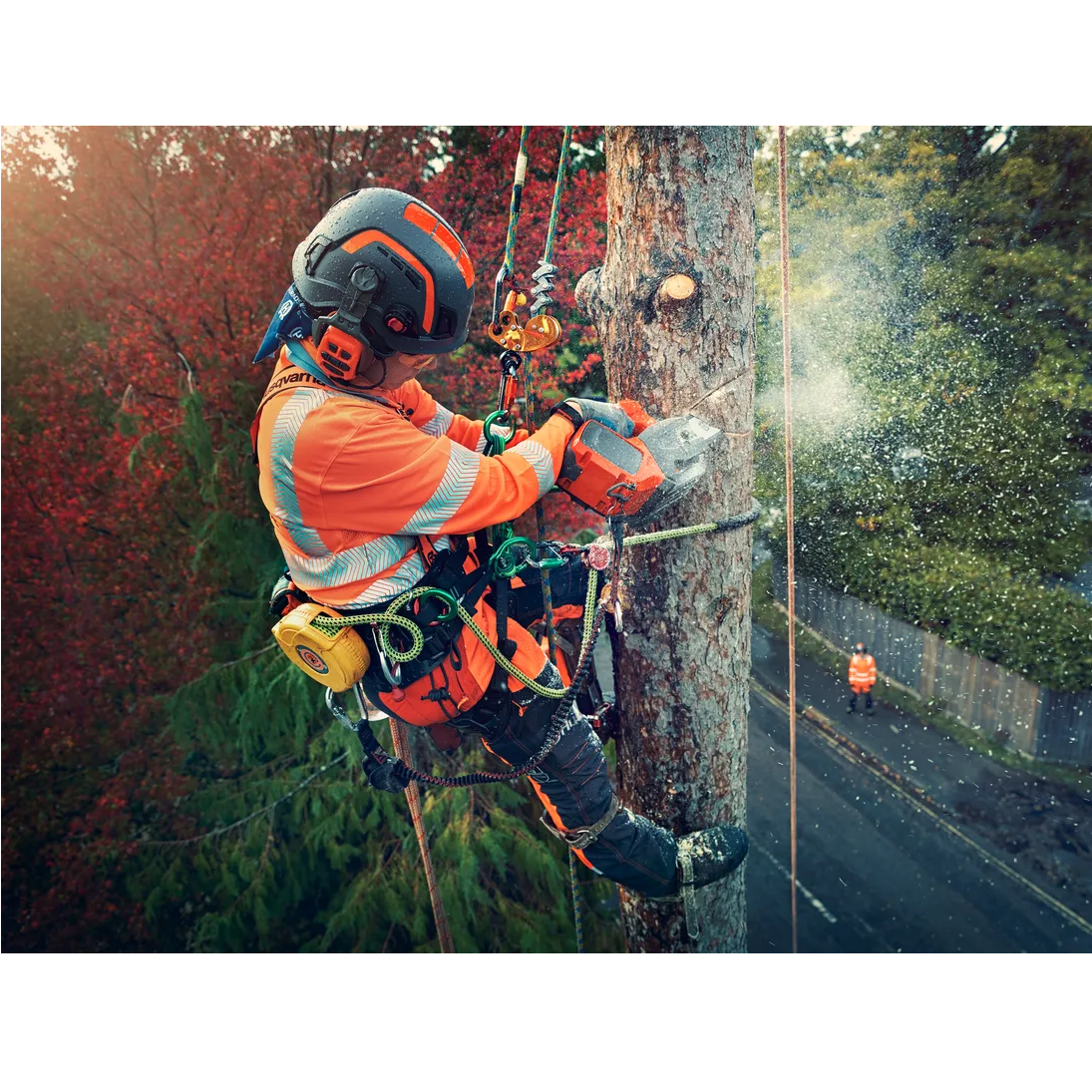 HUS_970572314_1 Αλυσοπρίονο Husqvarna T540iXP 36V μπαταρίας