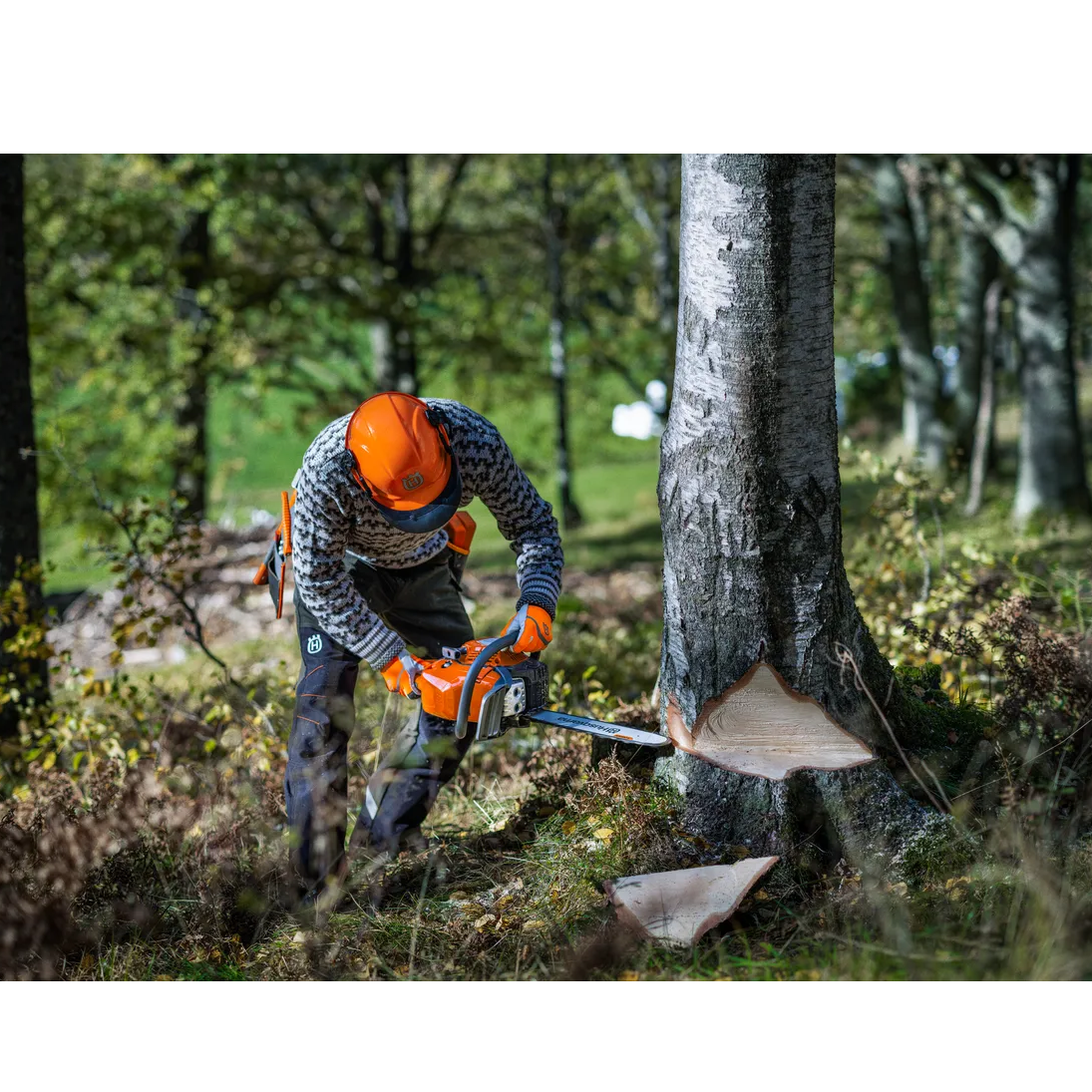 HUS_970702618_1 Αλυσοπρίονο Husqvarna 450 S